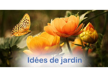 Idées de jardin